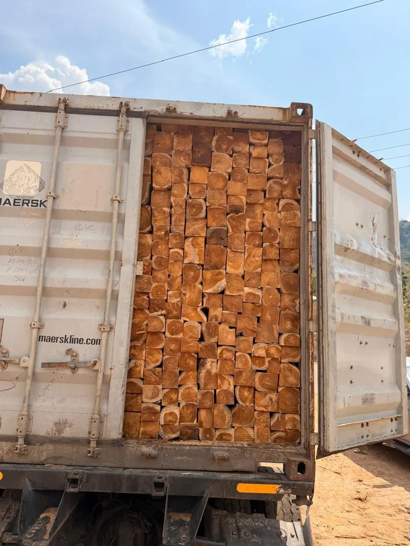 Rough-sawn teak squares loaded in a shipping container for export